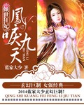倾世狂妃:凤唳九天